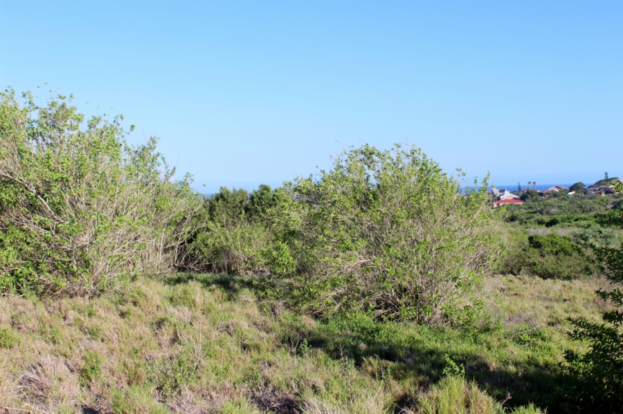 0 Bedroom Property for Sale in Forest Downs Eastern Cape